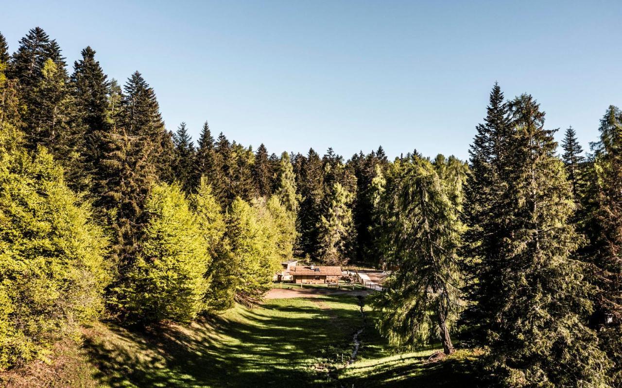La Mendola Alm Chalet Villa Dış mekan fotoğraf